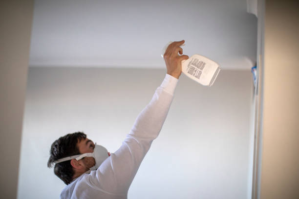 Best Local Mold Removal Service  in Potomac Park, CA
