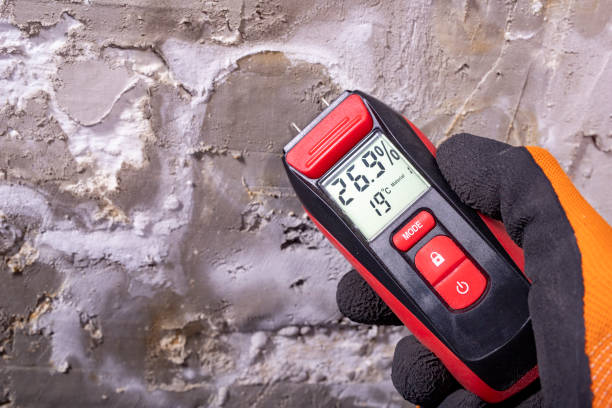 Best Fast Mold Removal  in Potomac Park, CA