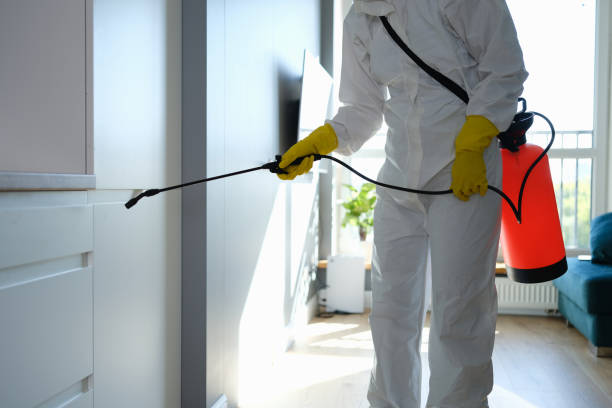Mold Testing and Removal in Potomac Park, CA